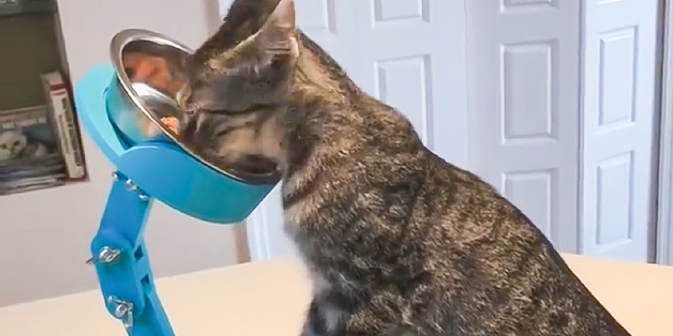 3D Printing Assistive Devices for Kittens in Need!