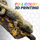 Color 3D Printing