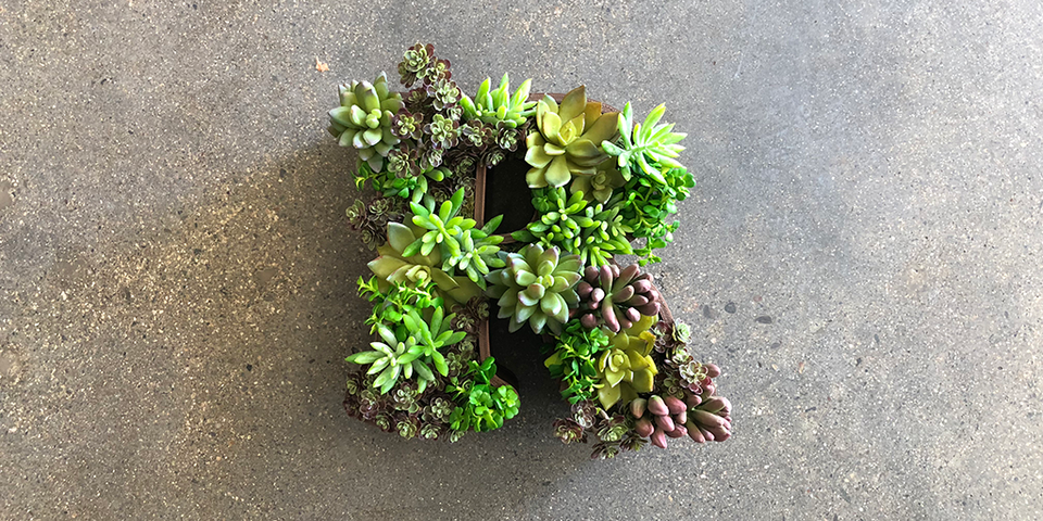 How To: 3D Print and Build a Custom Succulent Wall Hang