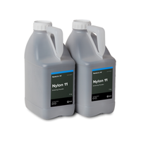 Formlabs Nylon 11 Powder (6kg)