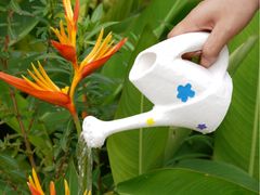 Bambu Lab PETG Basic Filament - 1.75mm (1kg)