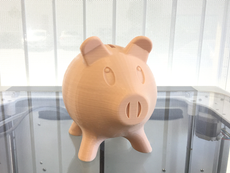 Piggy Bank
