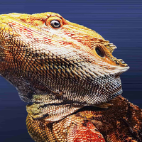 eufyMake E1 3D Texture UV Printer Deluxe Plus Bundle