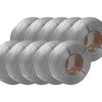 Bambu Lab Silver PLA Filament Refill 10 Pack - 1.75mm (1kg)