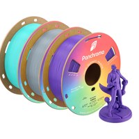 PolyMaker Panchroma CoPE Grey Filament - 1.75mm (1kg)