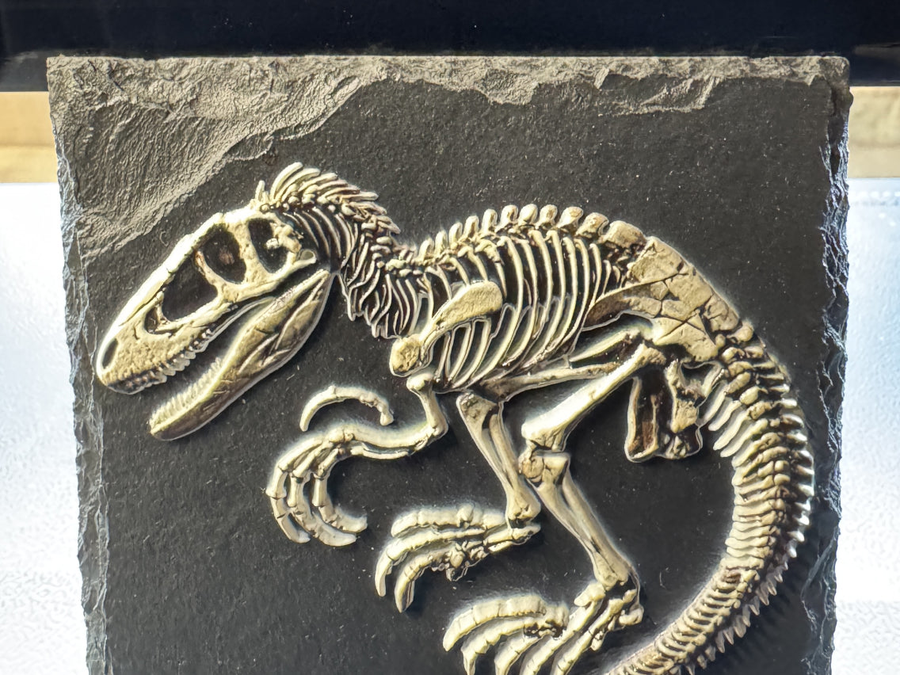 eufyMake E1 3D Texture UV Printer Deluxe Plus Bundle