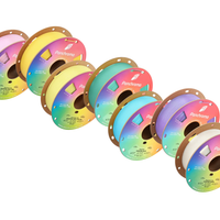 PolyMaker Panchroma Celestial PLA Filament Bundles - 1.75mm (1kg) Rainbow Pack