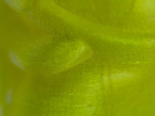 Translucent Yellow MH Build Series PETG Filament - 1.75mm (1kg)